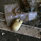 Illustration for article titled Abandoned Shipyard Halls Look Magical After Heavy Rain